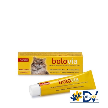 Candioli - BOLO VIA PASTA 100 GR