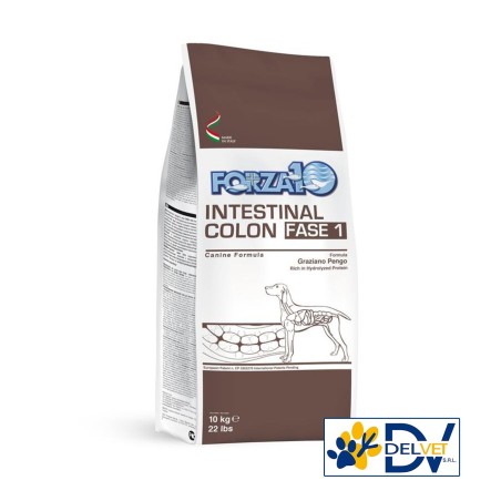 Forza 10 - CANE INTESTINAL COLON FASE-1 4 KG