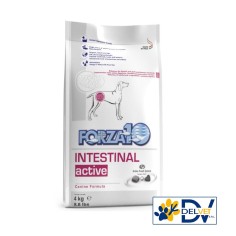 Forza 10 - CANE INTESTINAL ACTIVE 4 KG