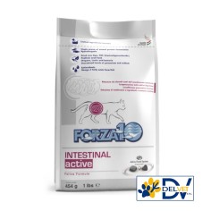 Forza 10 - GATTO INTESTINAL ACTIVE GR 454