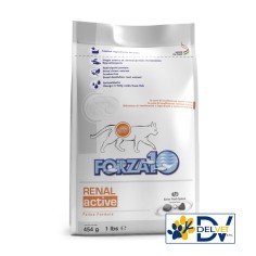 Forza 10 - GATTO RENAL ACTIVE GR 454