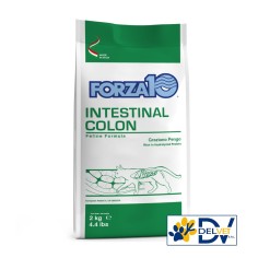 Forza 10 - GATTO INTESTINAL COLON 2 KG