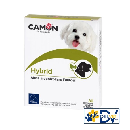 CAMON - HYBRID 30 CPR