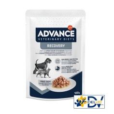 ADVANCE AFFINITY VETERINAY DIETS RECOVERY CANE\GATTO 100 GR