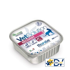 MONGE VETSOLUTION RECOVERY GATTO 100 GR