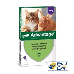 Elanco - ADVANTAGE SPOT-ON 40 GATTI-CONIGLI DAI 4 KG