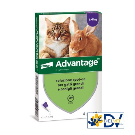 Elanco - ADVANTAGE SPOT-ON 40 GATTI-CONIGLI DAI 4 KG