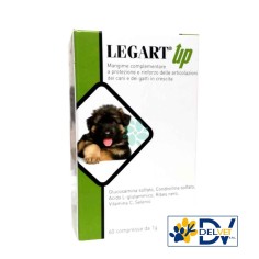 Aurora Biofarma - LEGART UP 60 COMPRESSE 1 GR