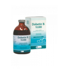 DOBETIN B1  10000 U.I.   100 ML