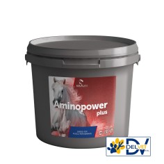 Equality - AMINOPOWER PLUS 1,5 KG
