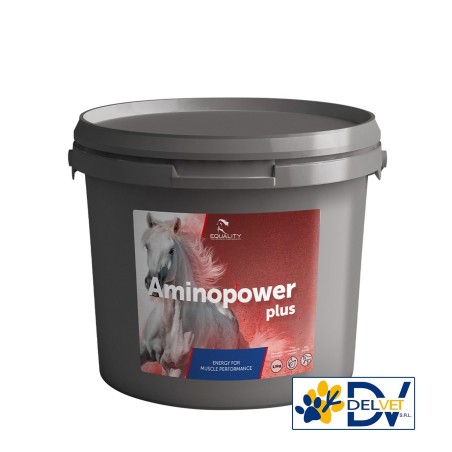 Equality - AMINOPOWER PLUS 1,5 KG