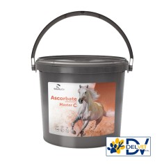Equality - ASCORBATE MASTER C 1,8 KG
