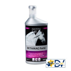 Equality - BETAMAG FORTE 1 LT