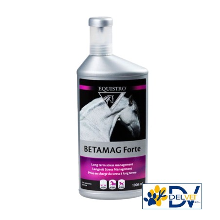 Equality - BETAMAG FORTE 1 LT