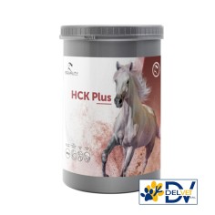 Equality - HCK PLUS 900 GR