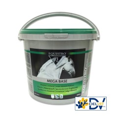 Equality - MEGA BASE SECCO 3 KG