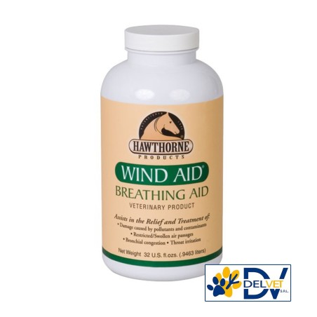 Equality - WIND AID 947 ML