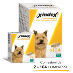 XINDEX 2 CPR MAST CANI - libera vendita 2