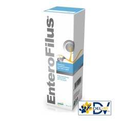 Drn - ENTEROFILUS 250 ML