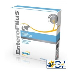 Drn - ENTEROFILUS 12 FIALE DA 10 ML