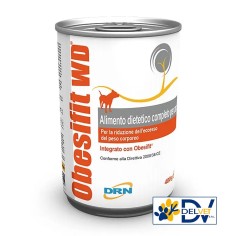 Drn - OBESIFIT WD SCATOLETTA 400 GR