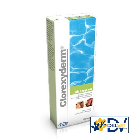 ICF - CLOREXYDERM SHAMPOO 250 ML