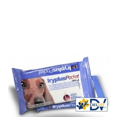 ICF - IRYPLUS POCKET SALVIETTINE 20 PZ