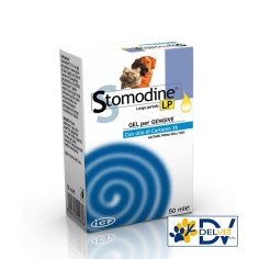 ICF - STOMODINE LP 50 ML