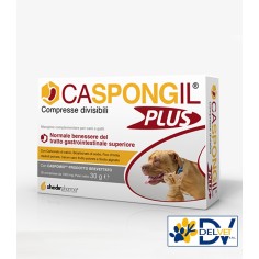 Shedirpharma - CASPONGIL PLUS 30 COMPRESSE
