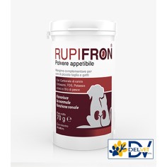 Shedirpharma - RUPIFRON POLVERE APPETIBILE 70 GR