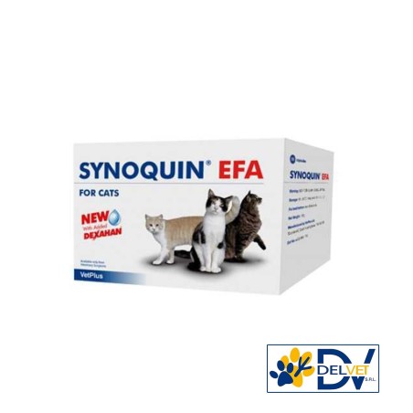 Vet Bros - SYNOQUIN EFA CAT 30 COMPRESSE