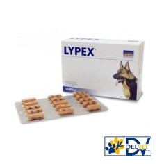 VETPLUS - LYPEX 60 CAPSULE