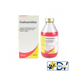 FOSFOCARNITINA IN 250 ML - libera vendita