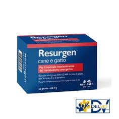 NBF Lanes - RESURGEN 60 PERLE