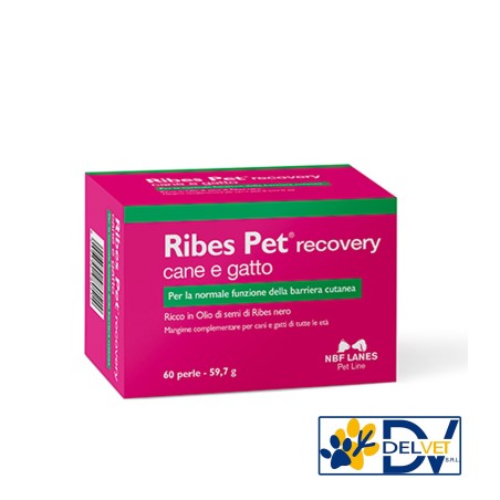 NBF Lanes - RIBES PET RECOVERY 60 PERLE