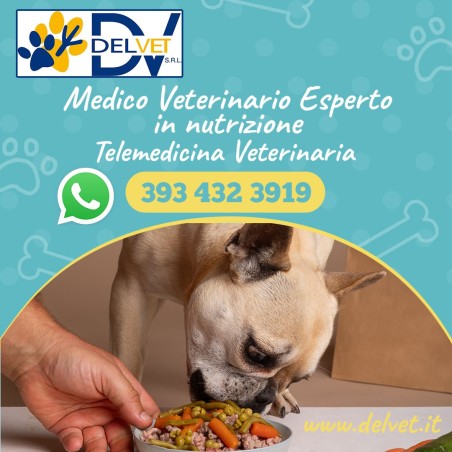 Medico Veterinario esperto in nutrizione cani e gatti