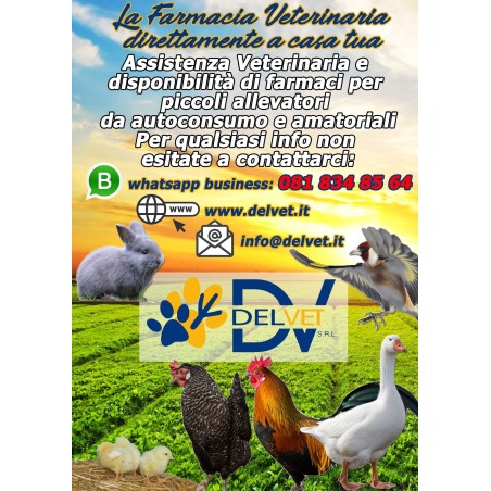 CHEMISOLE 2,5 % 100 ML