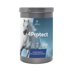 Equality - 4PROTECT 900 GR Cavalli