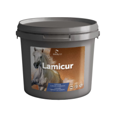 Equality - LAMICUR 2 KG Cavalli