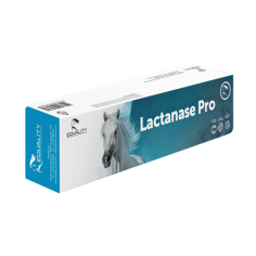 Equality - LACTANASE PRO PASTA ORALE 50 GR