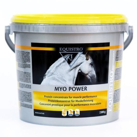 Equality - MYO POWER NEW 2,3 KG