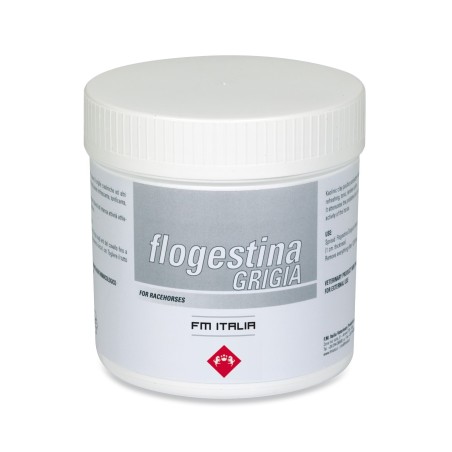 Fm - FLOGESTINA GRIGIA KG.1