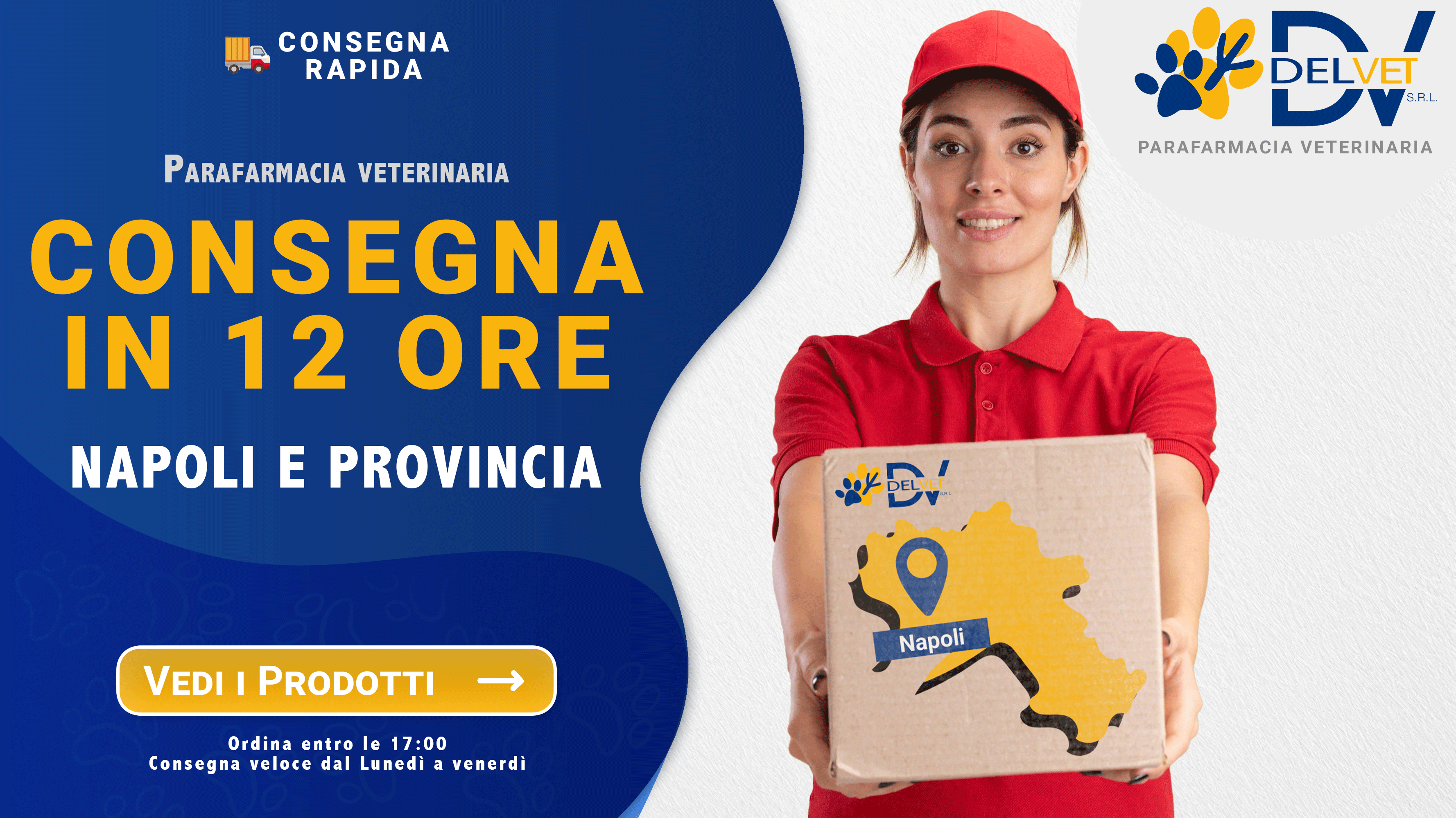 Spedizioni veloci in 12 ore lavorative per Napoli e provincia