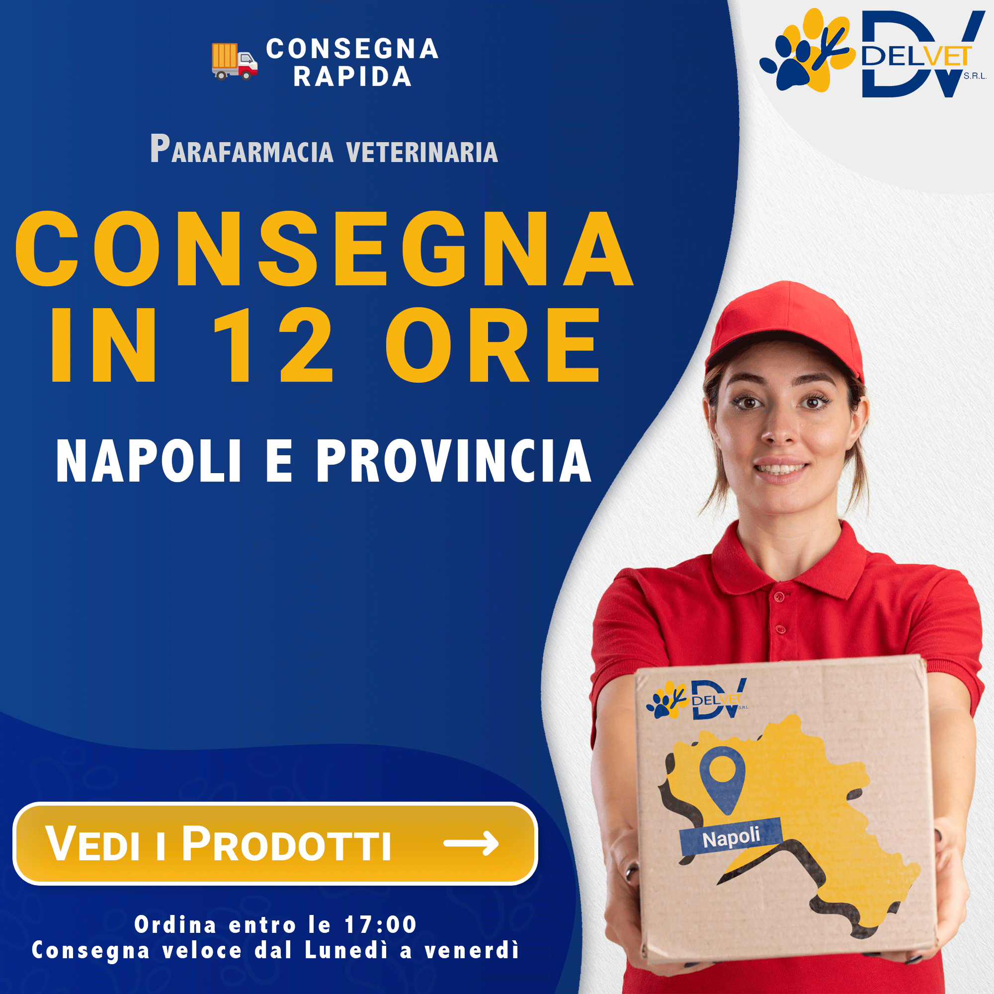 Consegne in 12 ore lavorative per Napoli e provincia