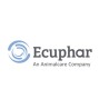 ECUPHAR ITALIA SRL