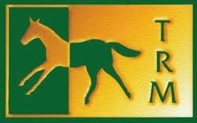 TRM LTD NEWBRIDGE